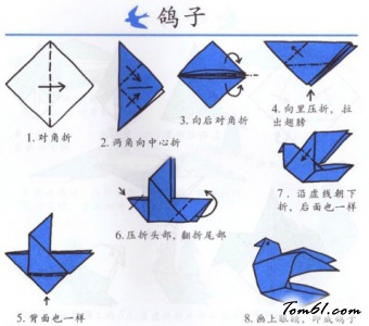 折纸之鸽子图片1