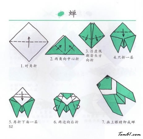 折纸之蝉图片1