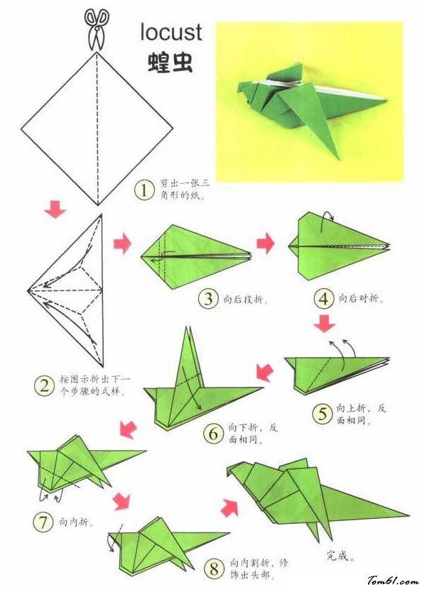折纸之蝗虫2图片1