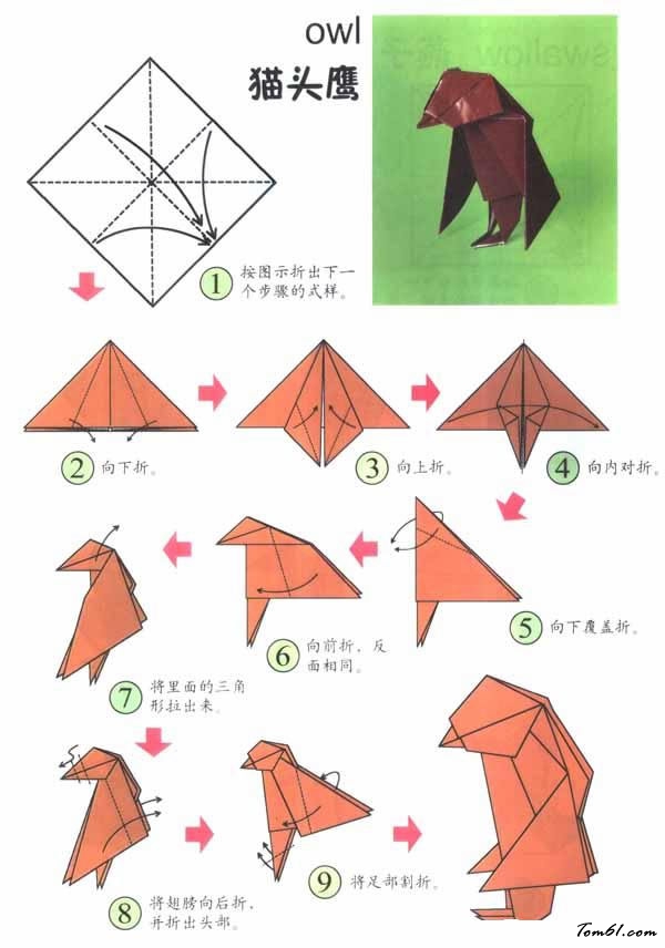 折纸之猫头鹰2图片1