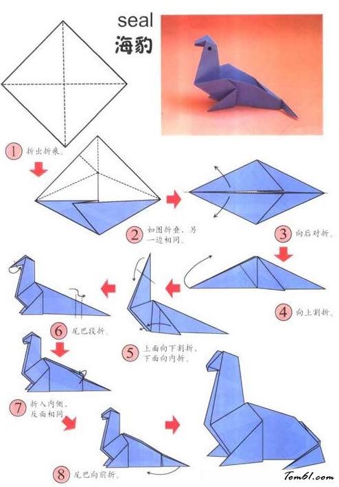折纸之海豹2图片1