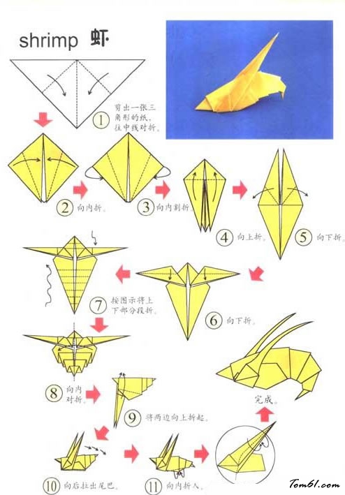 折纸之虾2图片1