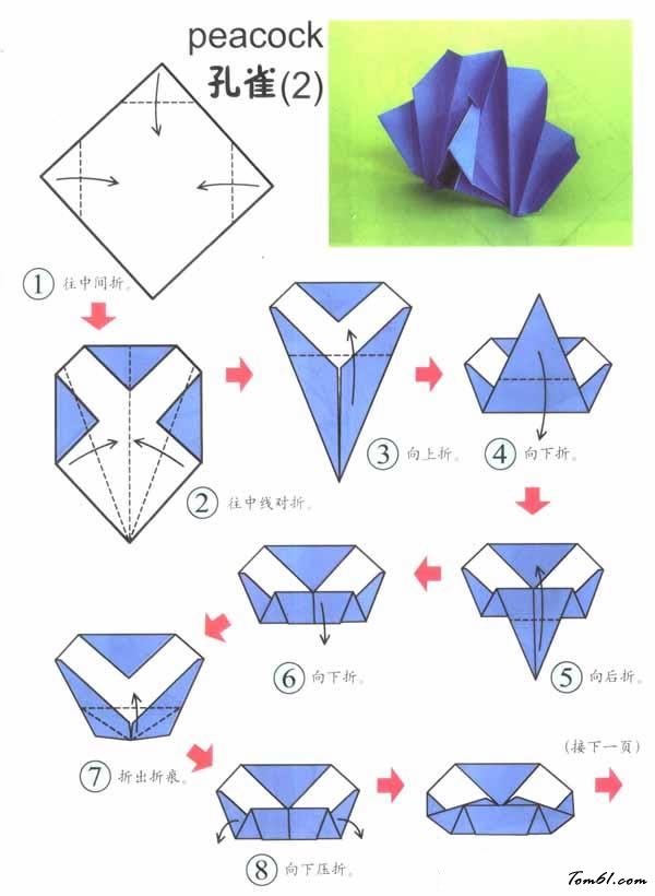 折纸之孔雀2图片1