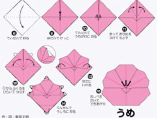 樱花2的折纸图解与方法教程