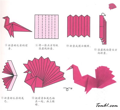 折纸之孔雀4图片1
