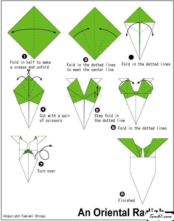 折纸之白萝卜图片1