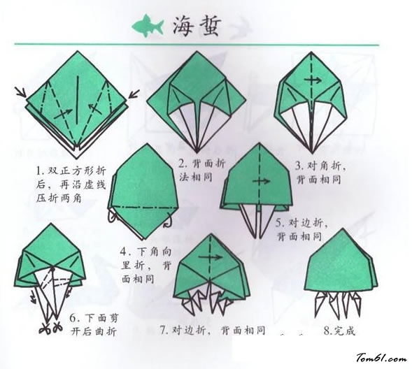 折纸之海蜇图片1