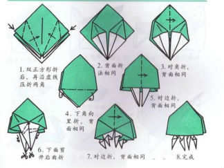 海蜇的折纸图解与方法教程