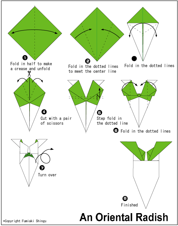 白萝卜的折纸图解与方法教程