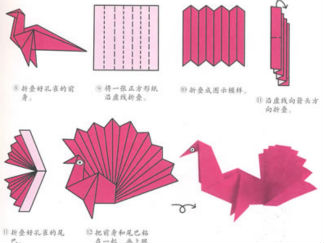 孔雀4的折纸图解与方法教程