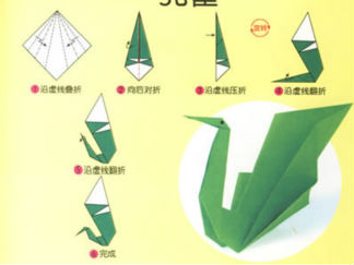 孔雀5的折纸图解与方法教程