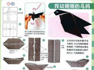 挥着翅膀的乌鸦的折纸图解与方法教程