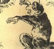 北京传说故事—黑猴儿
