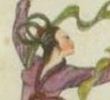 西游记版本2—24悟空擒玉免