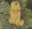 西游记版本1—12万年人参果