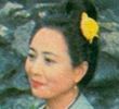 红楼梦序集