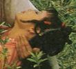 红楼梦第9集