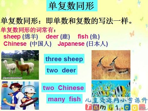 期末复习_名词_课件