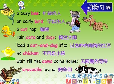 We_love_animals课件5