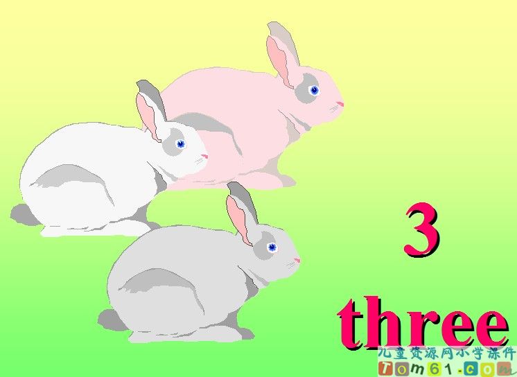 Unit6  At  the  Aoo  （Let's  learn)