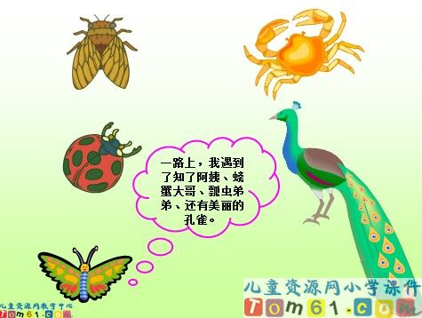 观察物体课件3