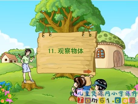 观察物体课件4