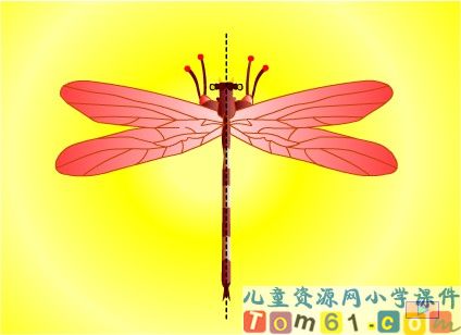 轴对称图形课件5