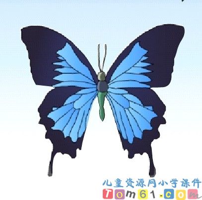 观察物体