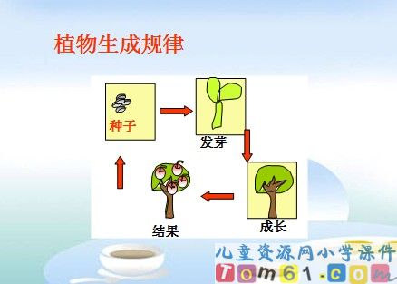 找规律课件7