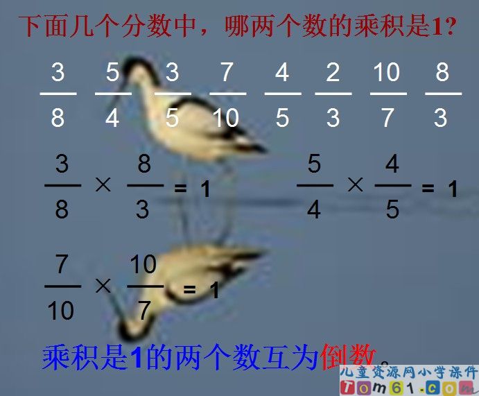 倒数的认识
