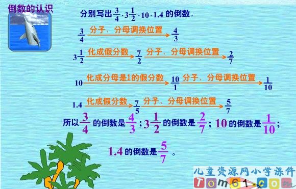 倒数的认识