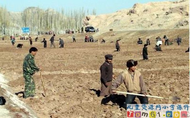 用百分数解决问题