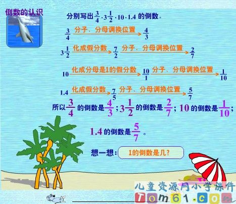 倒数的认识课件19