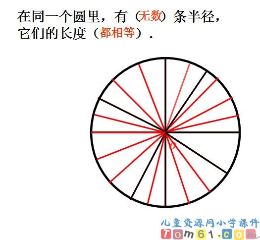 圆的认识课件41
