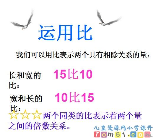 比的意义课件22