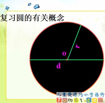 圆的面积课件36