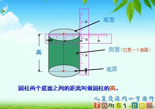 圆柱的认识
