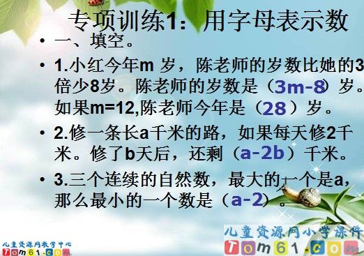 总复习：式与方程