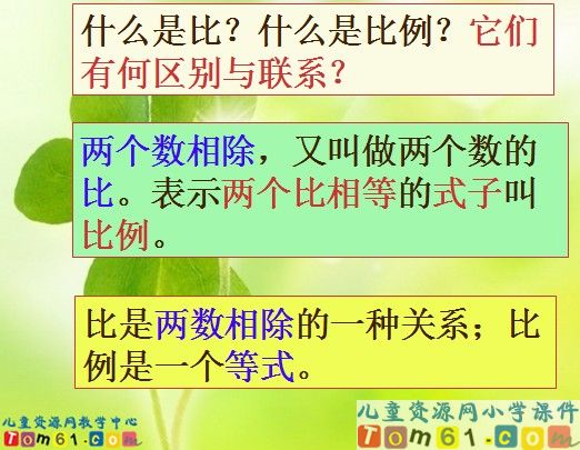 比例的整理和复习