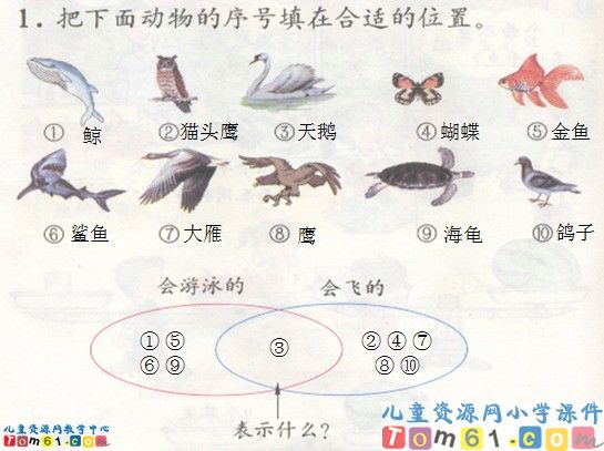 数学广角