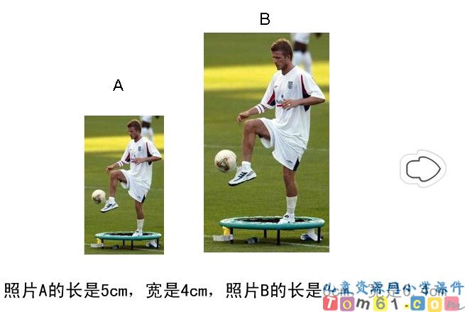 比例的意义