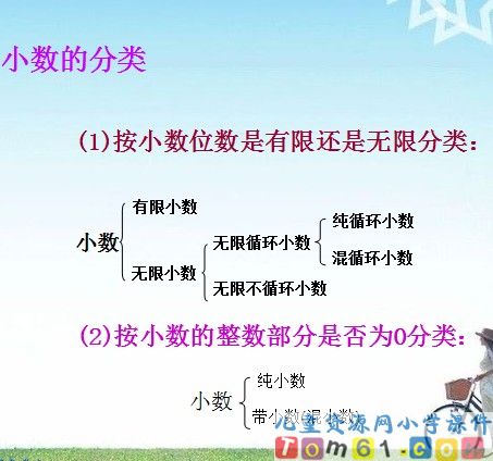 数的认识总复习