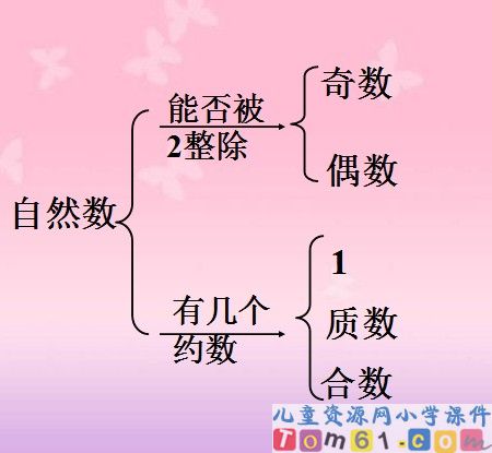 数的整除整理与复习