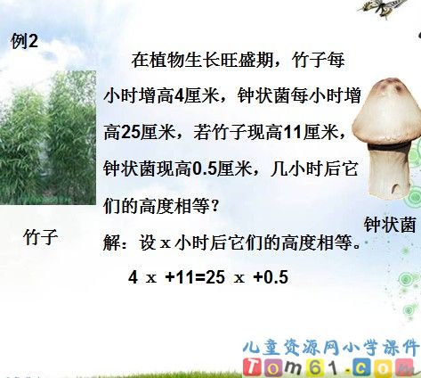 数与代数_代数与方程