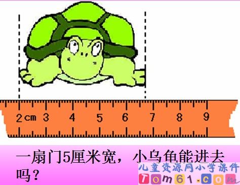 毫米和分米的认识