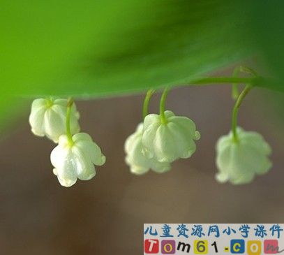 平行四边形识别