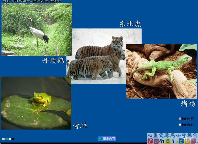 万以内的加法