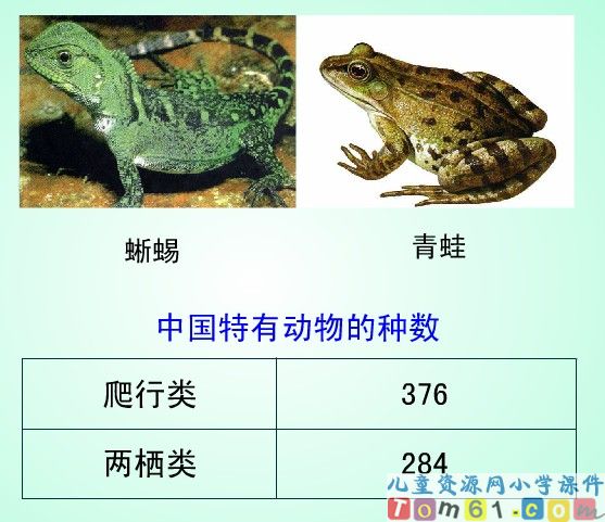 万以内的加法