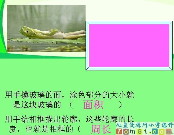 什么是面积课件