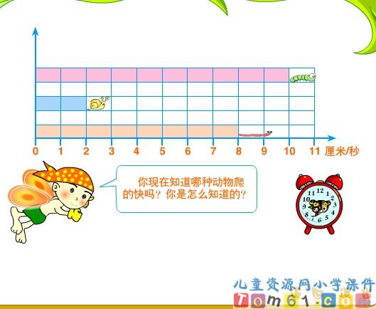 动物的赛跑